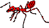 ant-red.gif (1676 bytes)